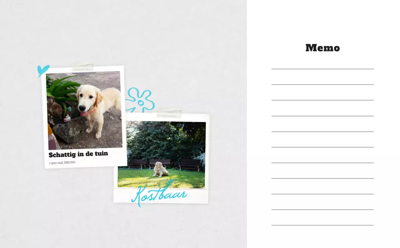 Witte Nette Ballet Dierenfotokalender