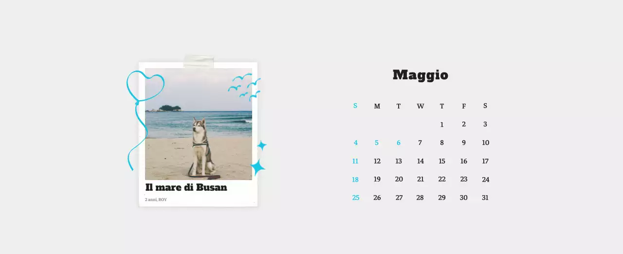 Calendario fotografico degli animali del balletto bianco e ordinato