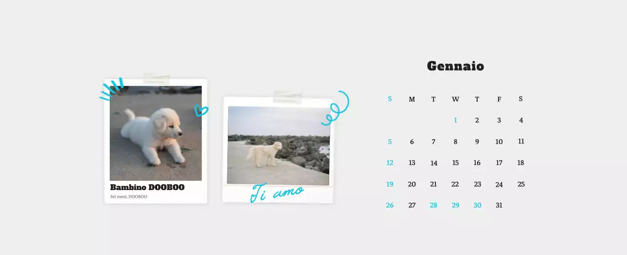 Calendario fotografico degli animali del balletto bianco e ordinato