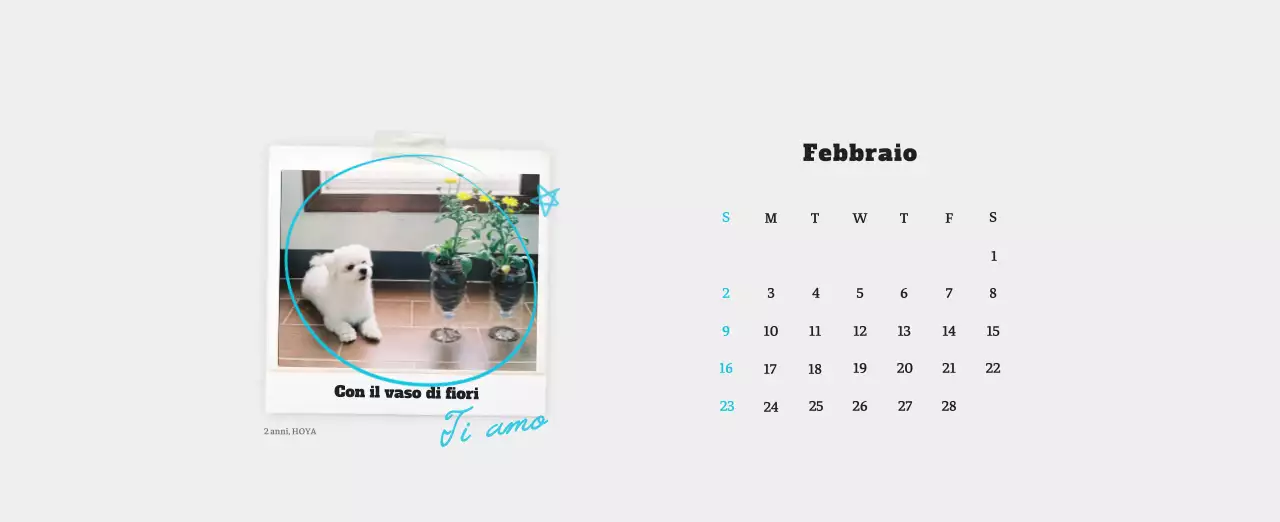 Calendario fotografico degli animali del balletto bianco e ordinato