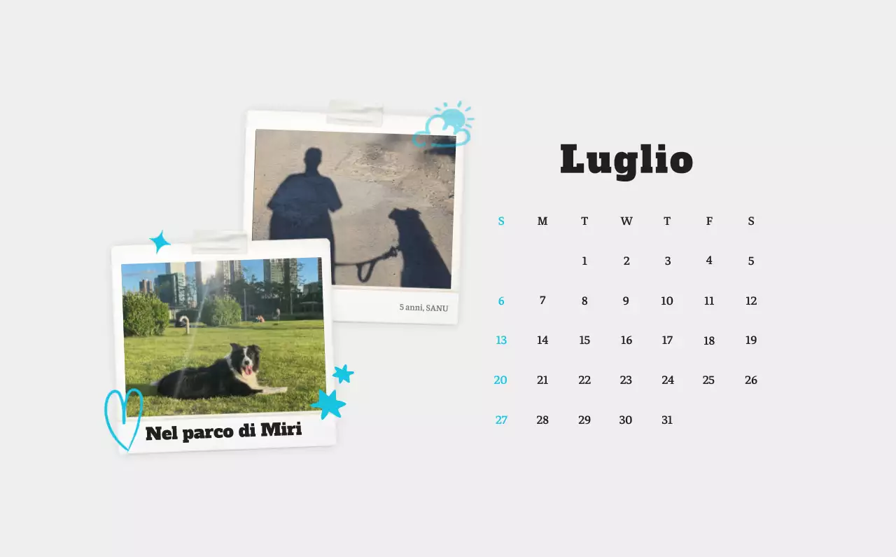 Calendario fotografico degli animali del balletto bianco e ordinato