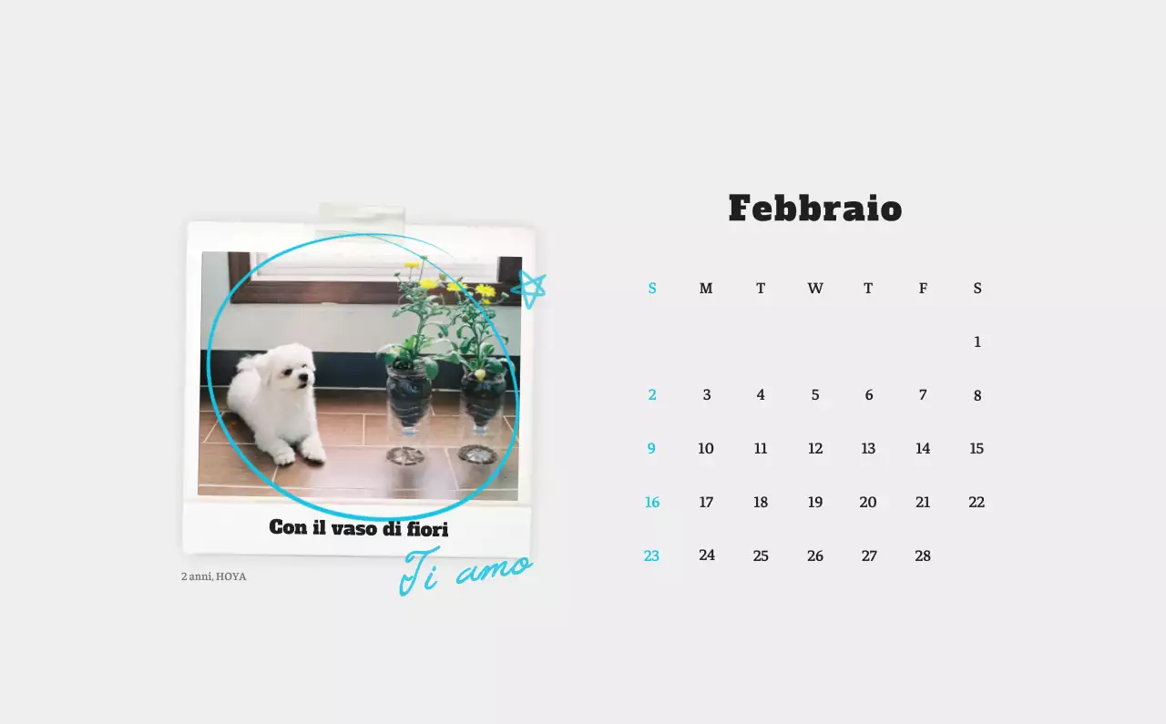 Calendario fotografico degli animali del balletto bianco e ordinato