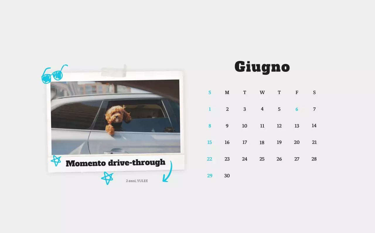 Calendario fotografico degli animali del balletto bianco e ordinato