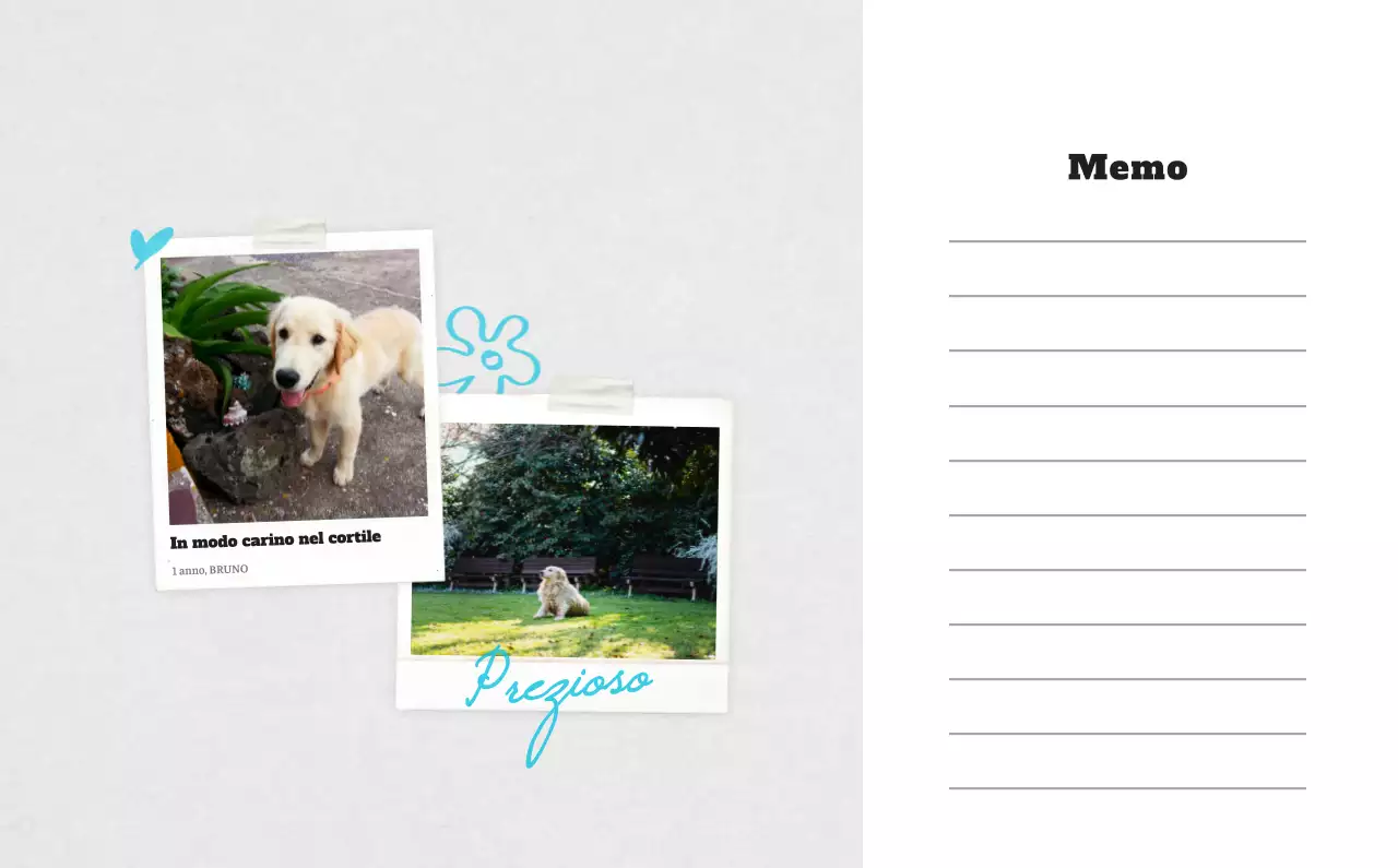 Calendario fotografico degli animali del balletto bianco e ordinato