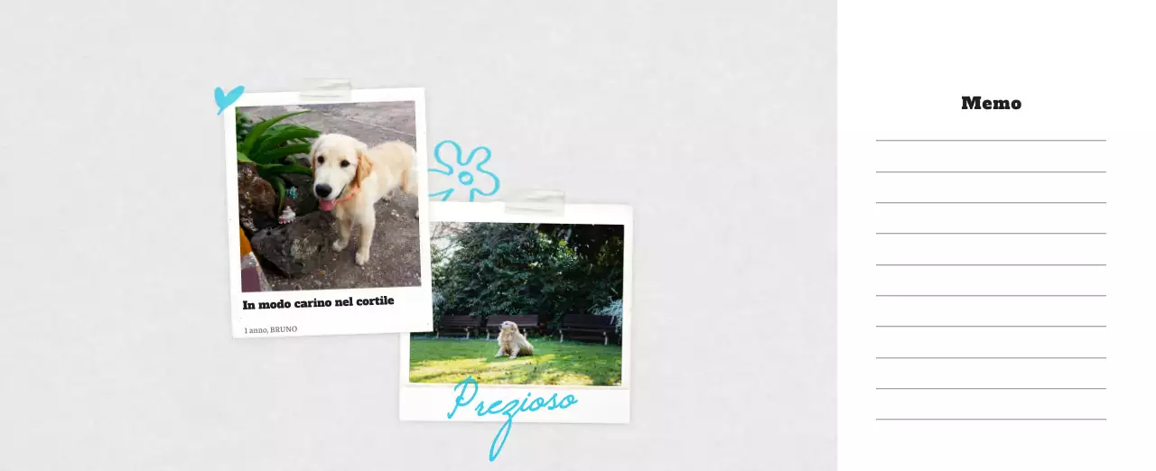 Calendario fotografico degli animali del balletto bianco e ordinato