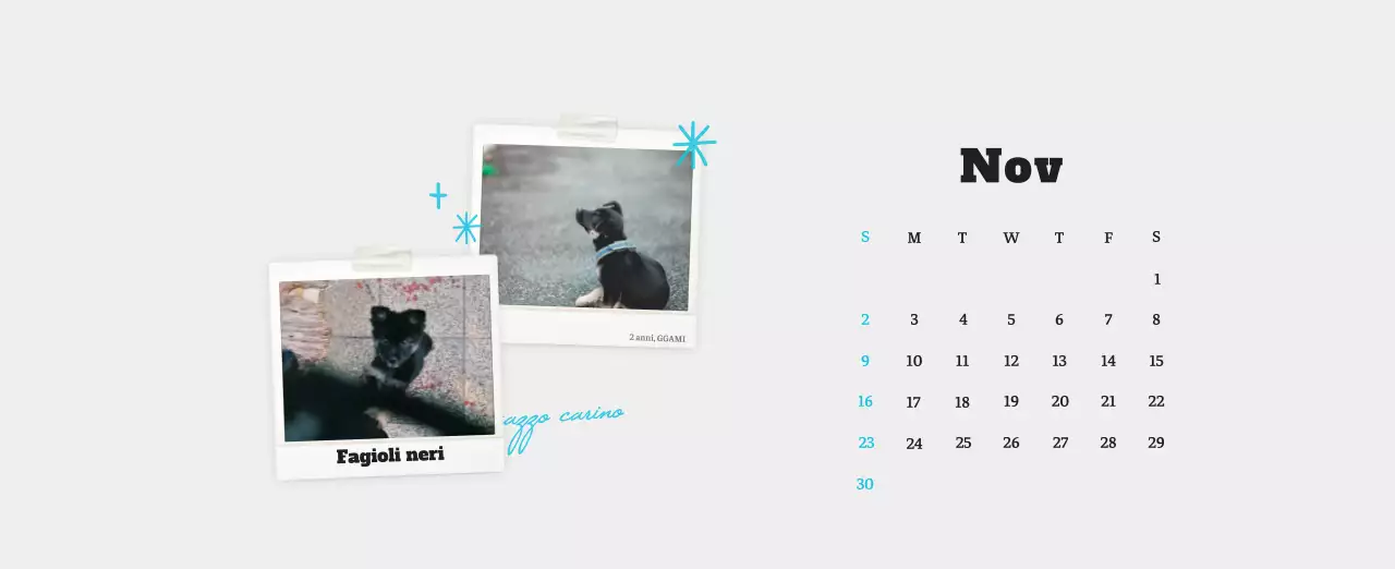 Calendario fotografico degli animali del balletto bianco e ordinato