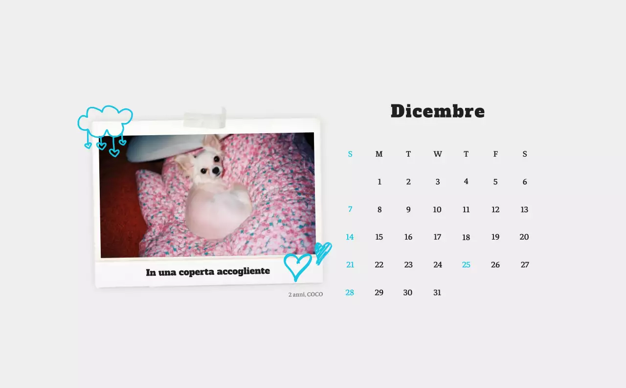 Calendario fotografico degli animali del balletto bianco e ordinato