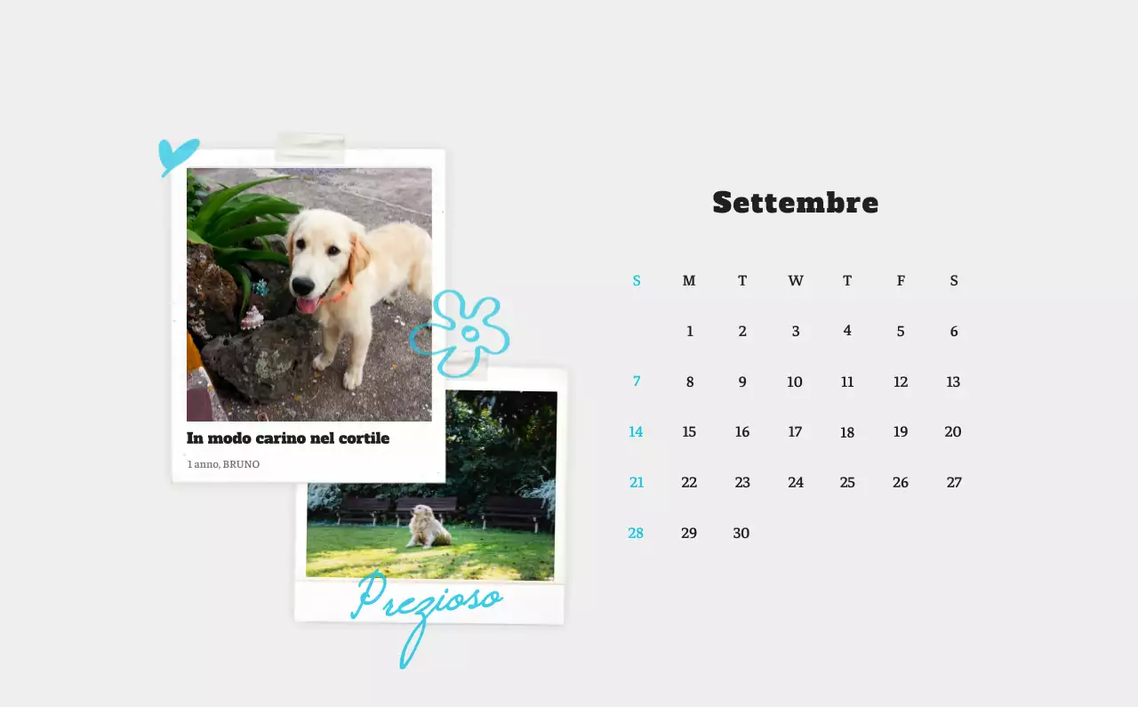 Calendario fotografico degli animali del balletto bianco e ordinato