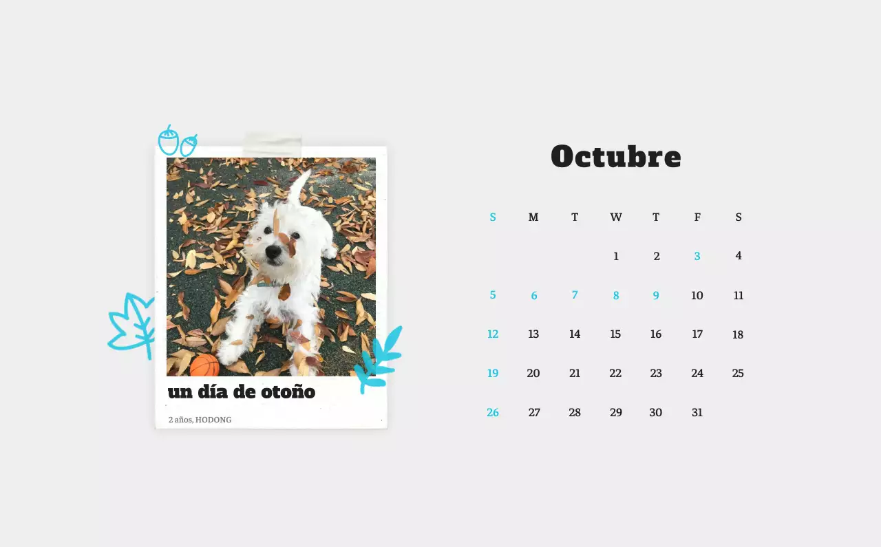 Ballet Blanco Neat Animal Foto Calendario