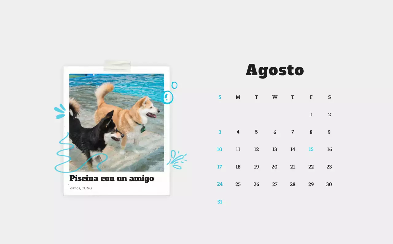 Ballet Blanco Neat Animal Foto Calendario
