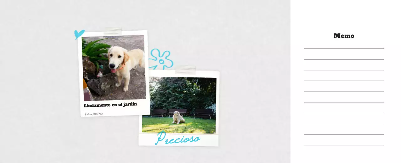 Ballet Blanco Neat Animal Foto Calendario