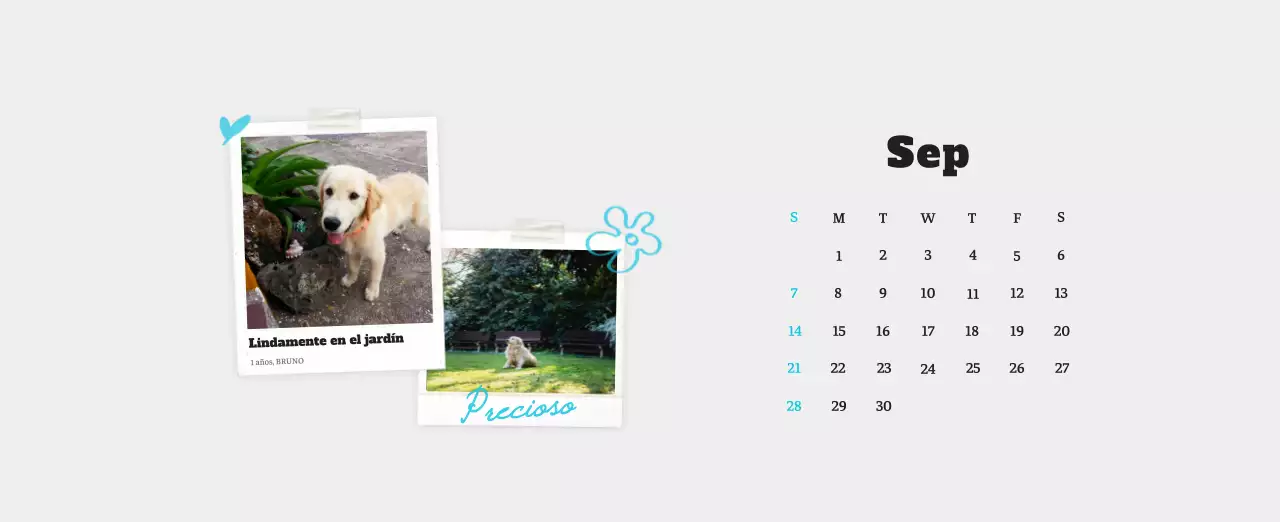 Ballet Blanco Neat Animal Foto Calendario