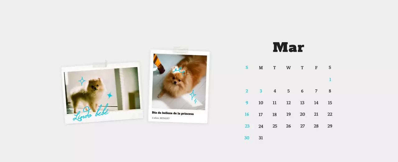 Ballet Blanco Neat Animal Foto Calendario
