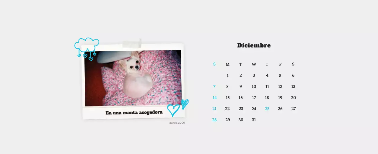 Ballet Blanco Neat Animal Foto Calendario