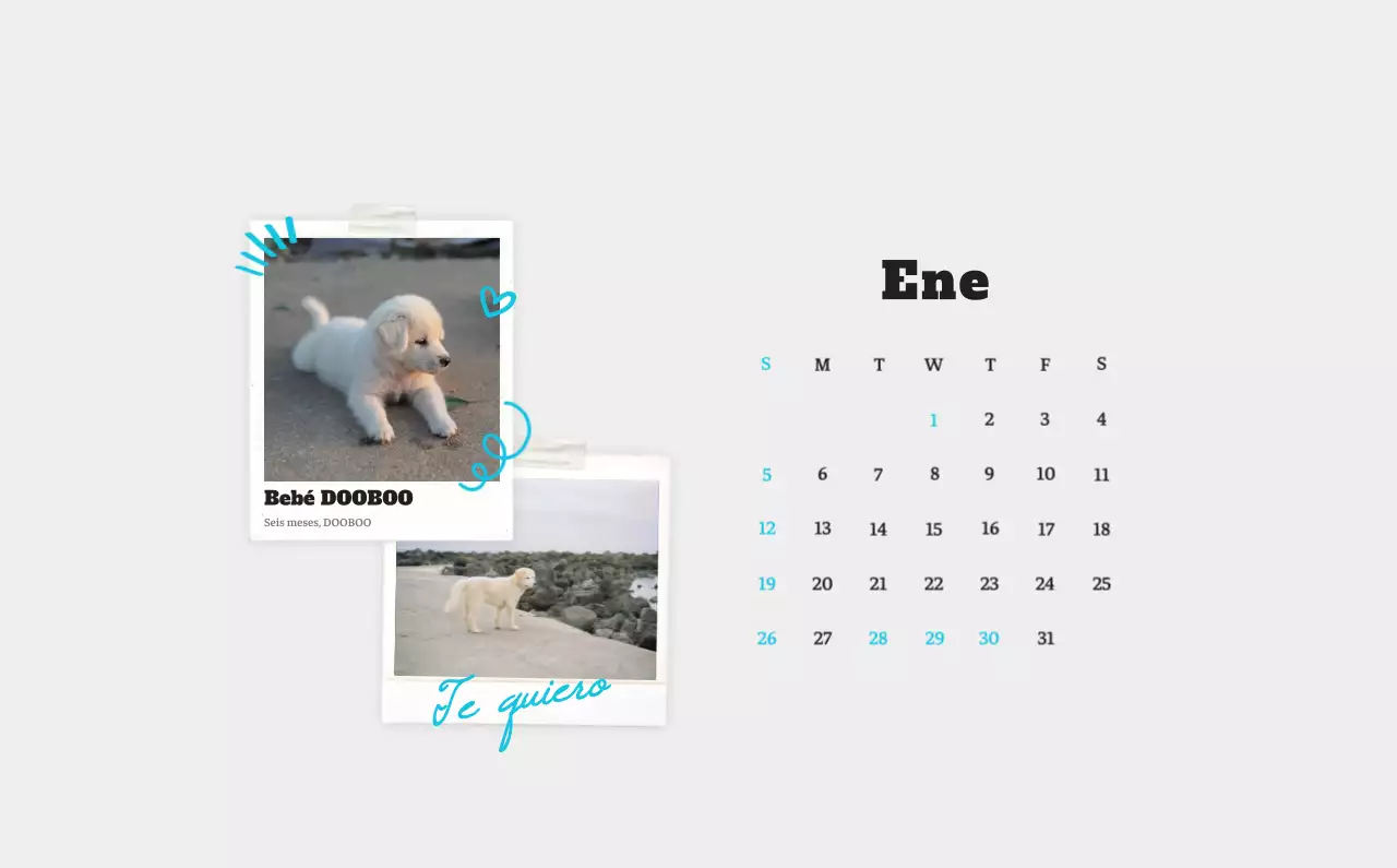 Ballet Blanco Neat Animal Foto Calendario