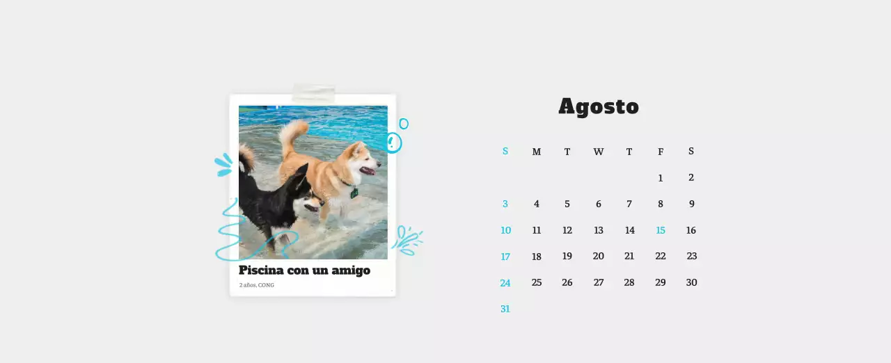 Ballet Blanco Neat Animal Foto Calendario