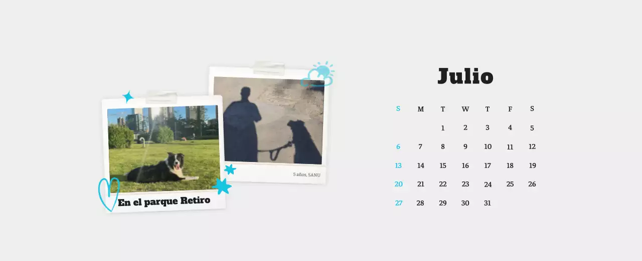 Ballet Blanco Neat Animal Foto Calendario