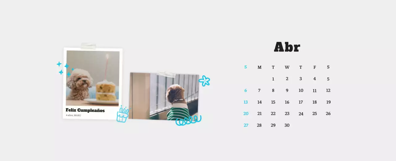 Ballet Blanco Neat Animal Foto Calendario