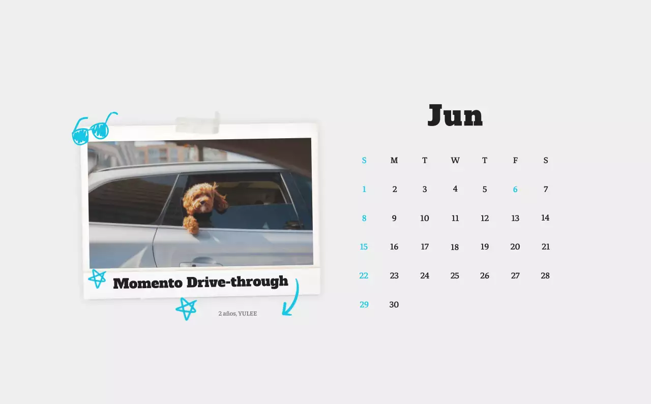 Ballet Blanco Neat Animal Foto Calendario