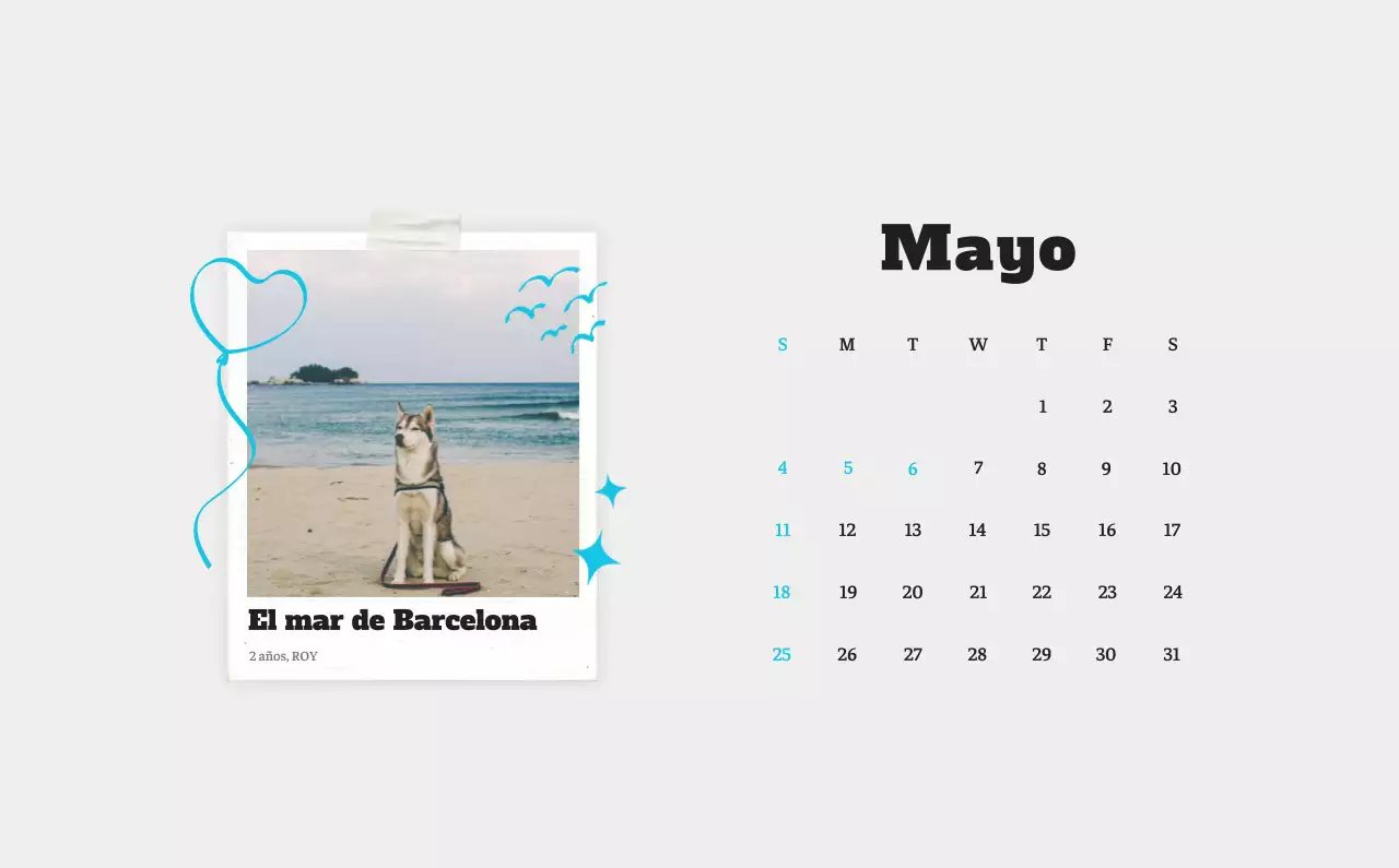 Ballet Blanco Neat Animal Foto Calendario