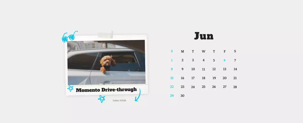 Ballet Blanco Neat Animal Foto Calendario