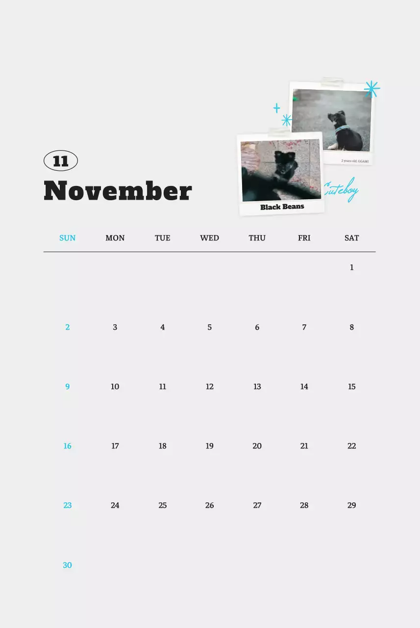 흰색 깔끔 발려동물 포토 캘린더