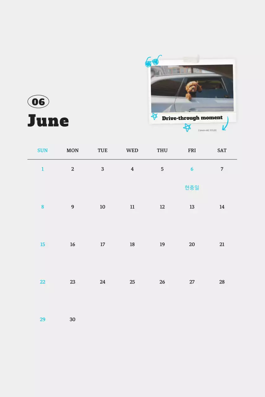 흰색 깔끔 발려동물 포토 캘린더