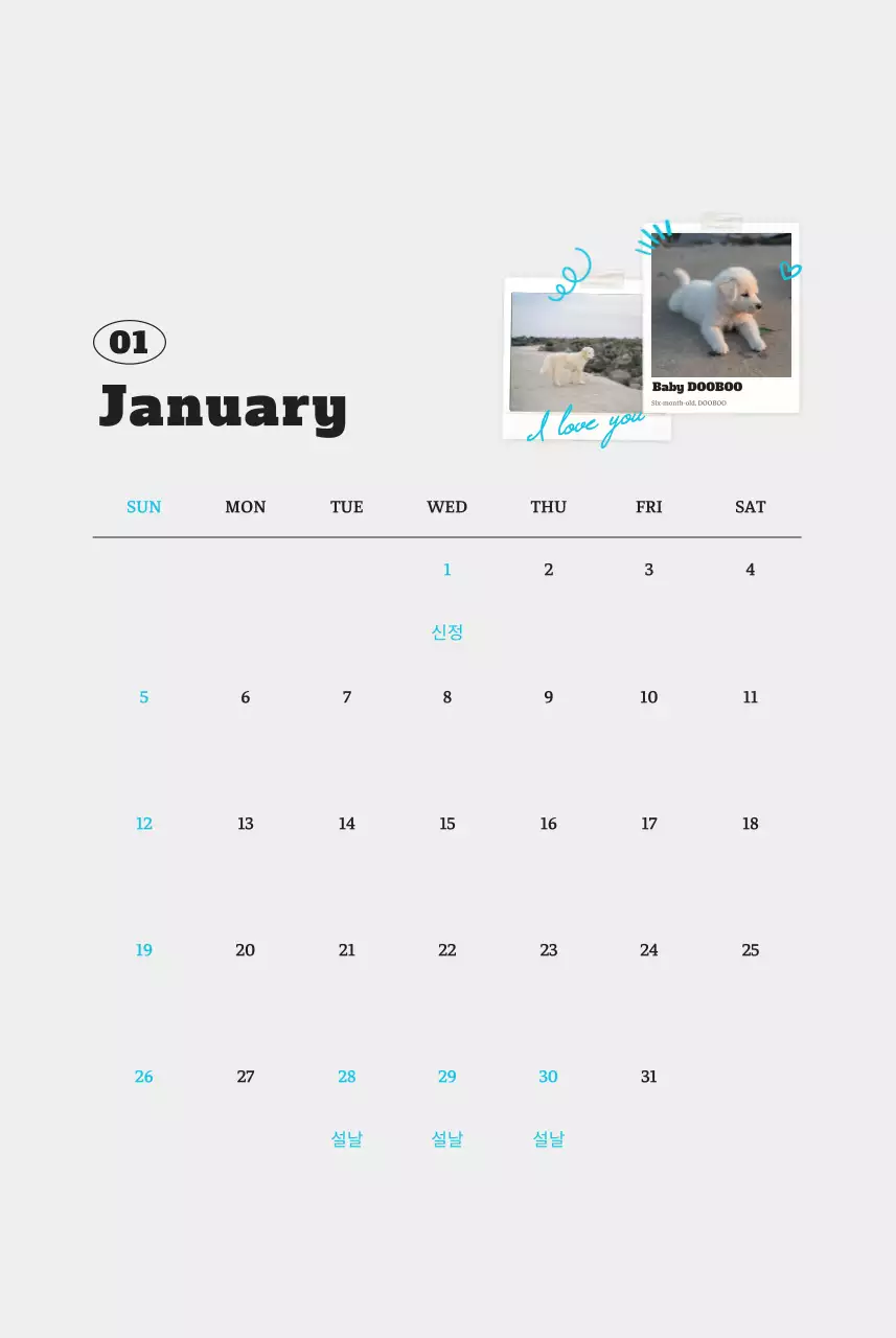 흰색 깔끔 발려동물 포토 캘린더