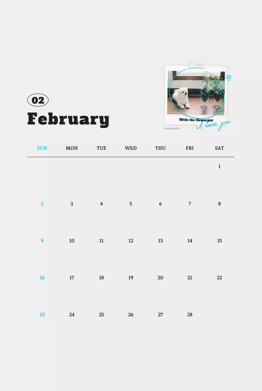 흰색 깔끔 발려동물 포토 캘린더