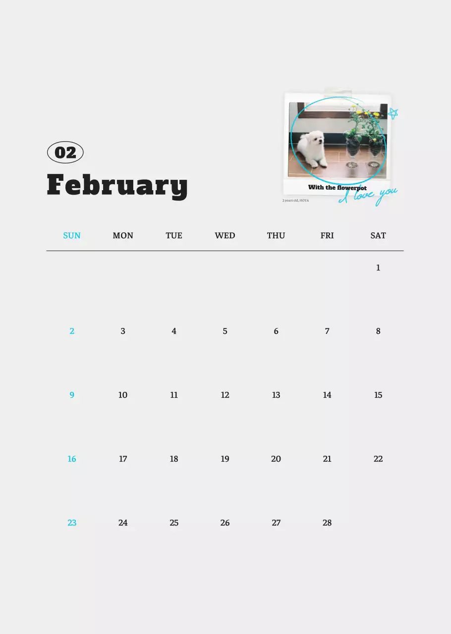 흰색 깔끔 발려동물 포토 캘린더