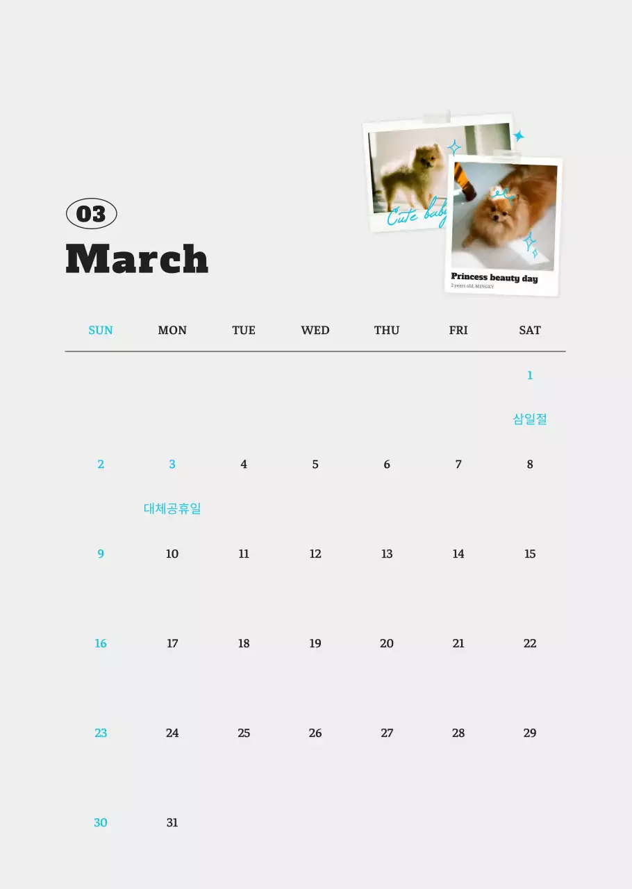 흰색 깔끔 발려동물 포토 캘린더