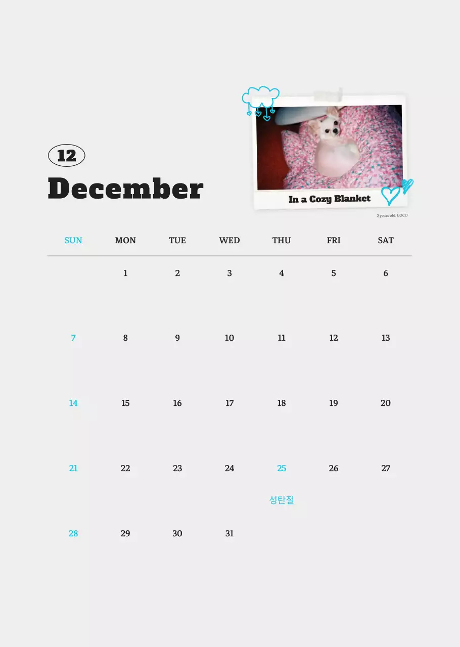 흰색 깔끔 발려동물 포토 캘린더