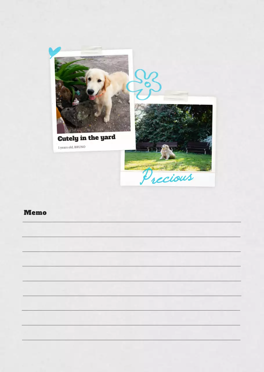 흰색 깔끔 발려동물 포토 캘린더