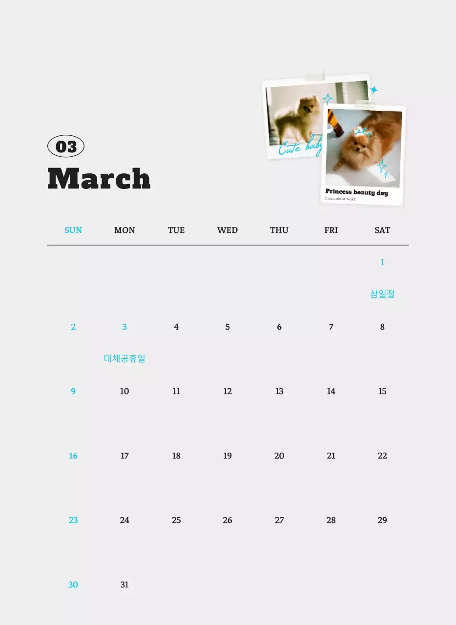 흰색 깔끔 발려동물 포토 캘린더