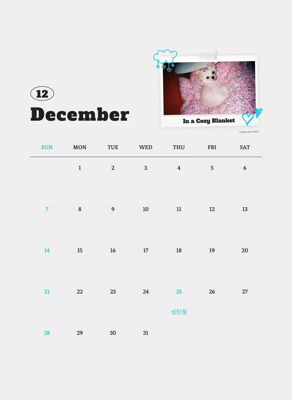 흰색 깔끔 발려동물 포토 캘린더