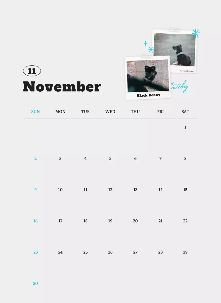 흰색 깔끔 발려동물 포토 캘린더