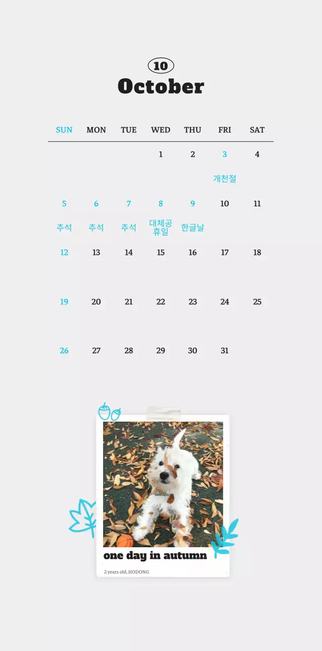 흰색 깔끔 발려동물 포토 캘린더