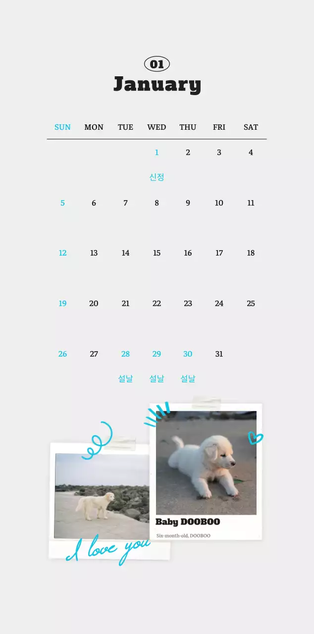 흰색 깔끔 발려동물 포토 캘린더