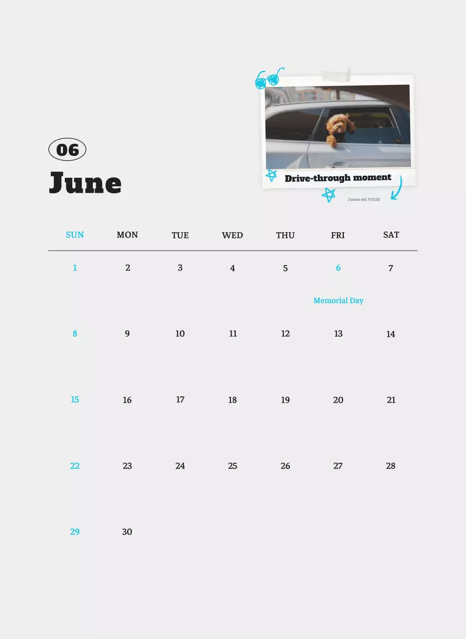 Kalender Foto Binatang Balet Putih Rapi