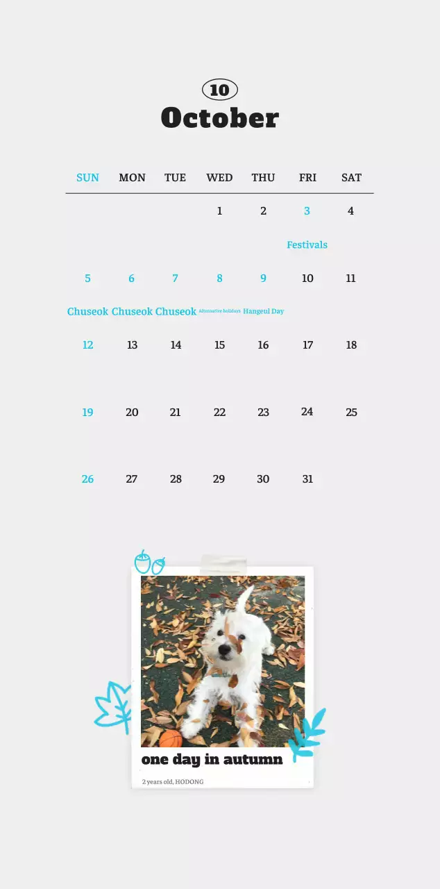 White neat pet photo calendar
