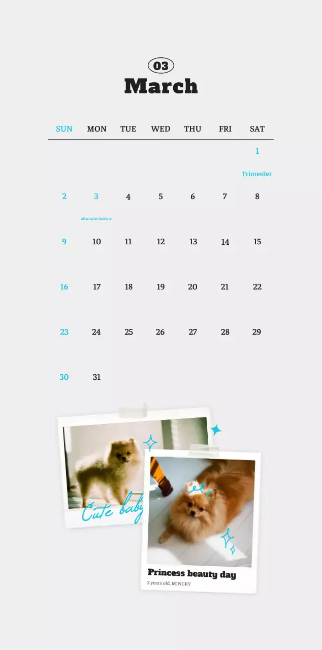 White neat pet photo calendar