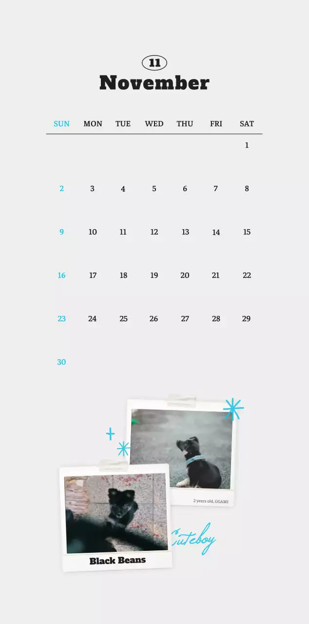 White neat pet photo calendar