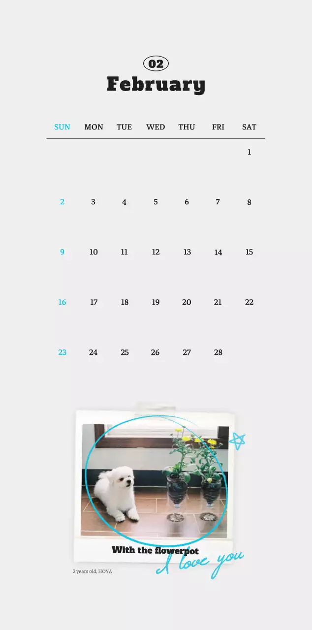 White neat pet photo calendar