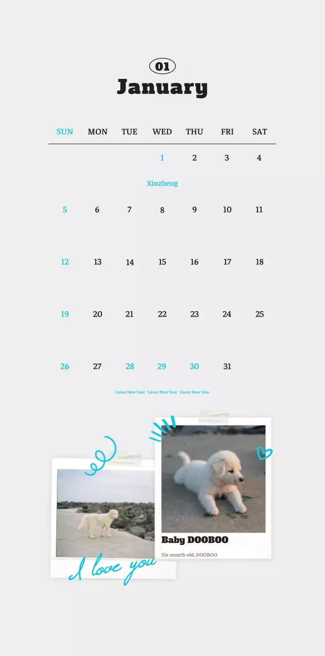 White neat pet photo calendar