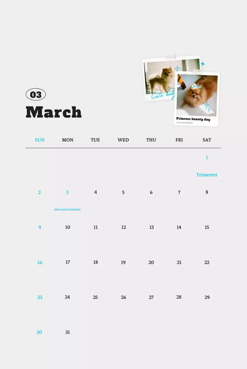 Kalender Foto Binatang Balet Putih Rapi