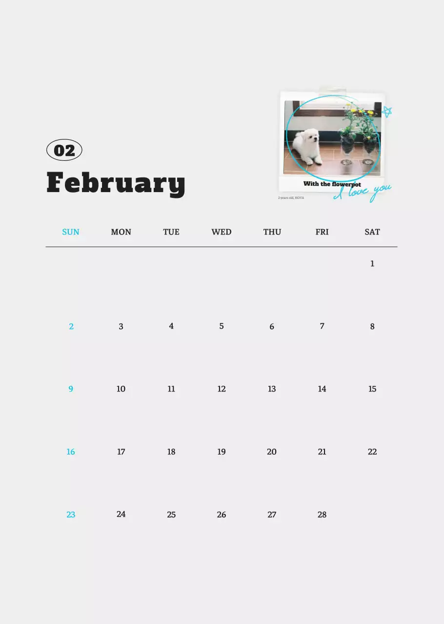 Kalender Foto Binatang Balet Putih Rapi