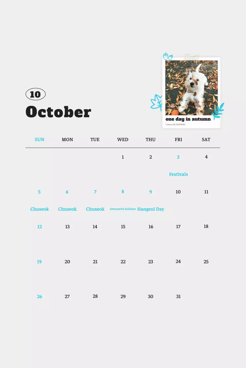 Kalender Foto Binatang Balet Putih Rapi