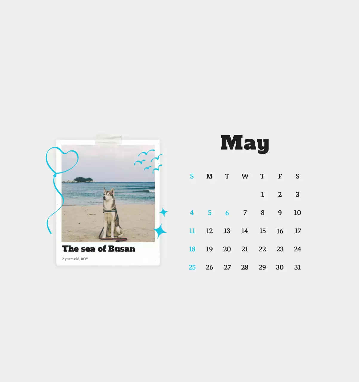 Kalender Foto Binatang Balet Putih Rapi