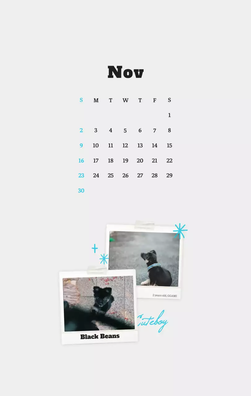 Kalender Foto Binatang Balet Putih Rapi