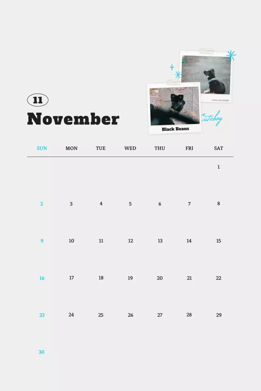 Kalender Foto Binatang Balet Putih Rapi